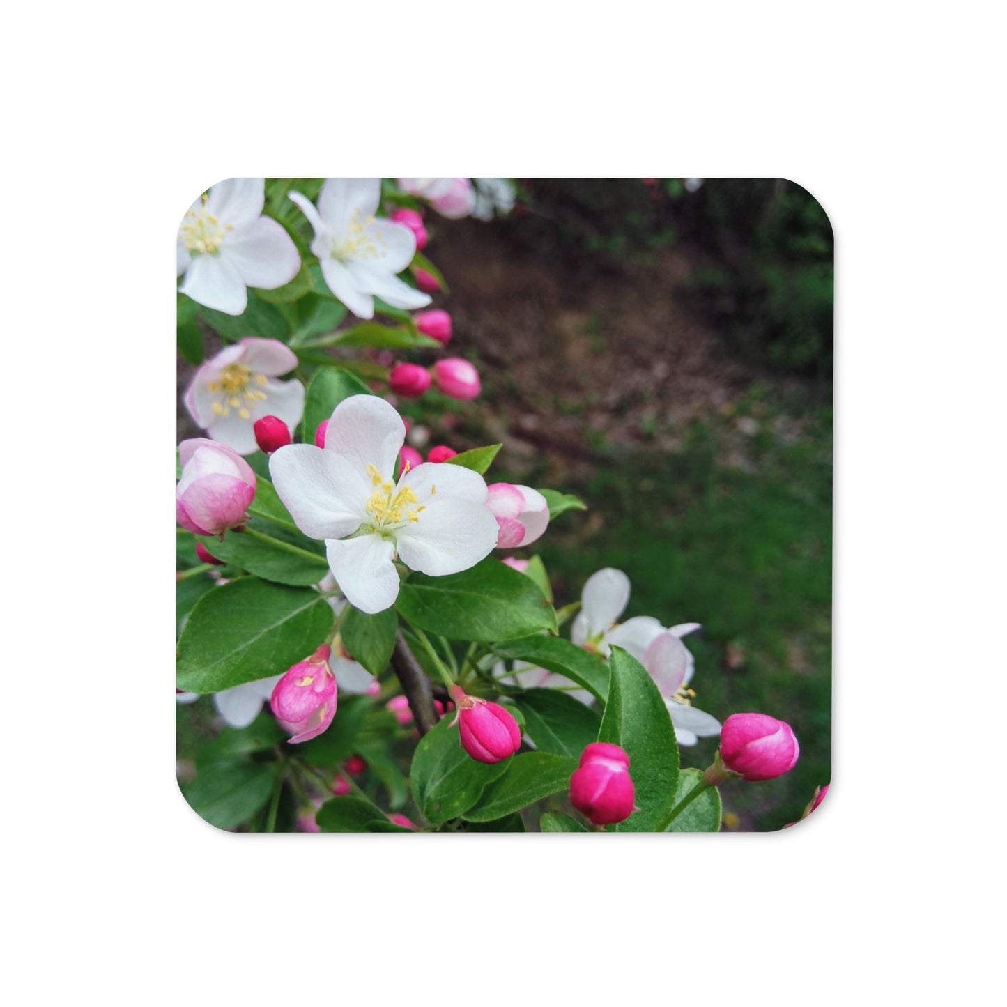 Spring Blossom Cork-Back Coaster
