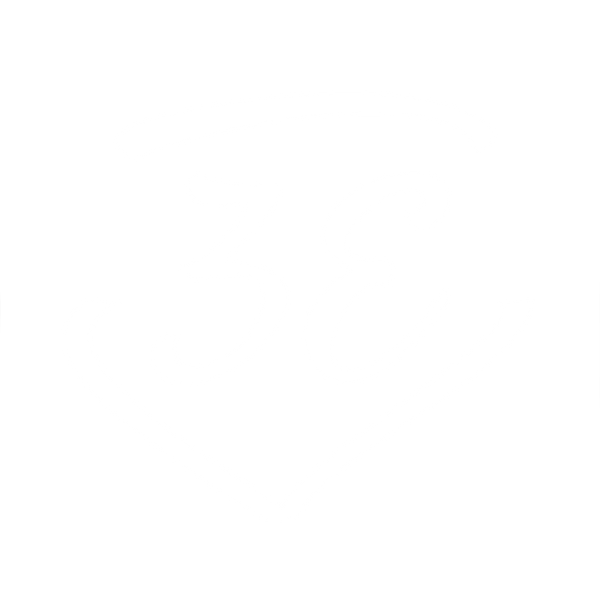 THIRD EYE VIBE | healing home elements